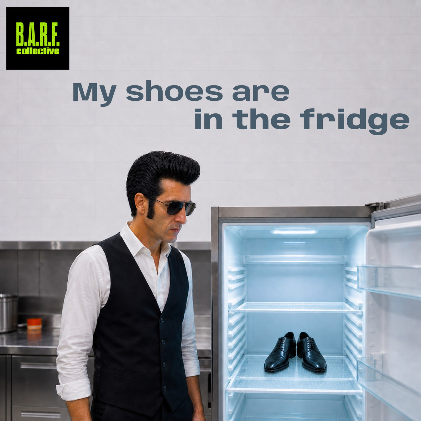 Cover of My Shoes Are in the Fridge