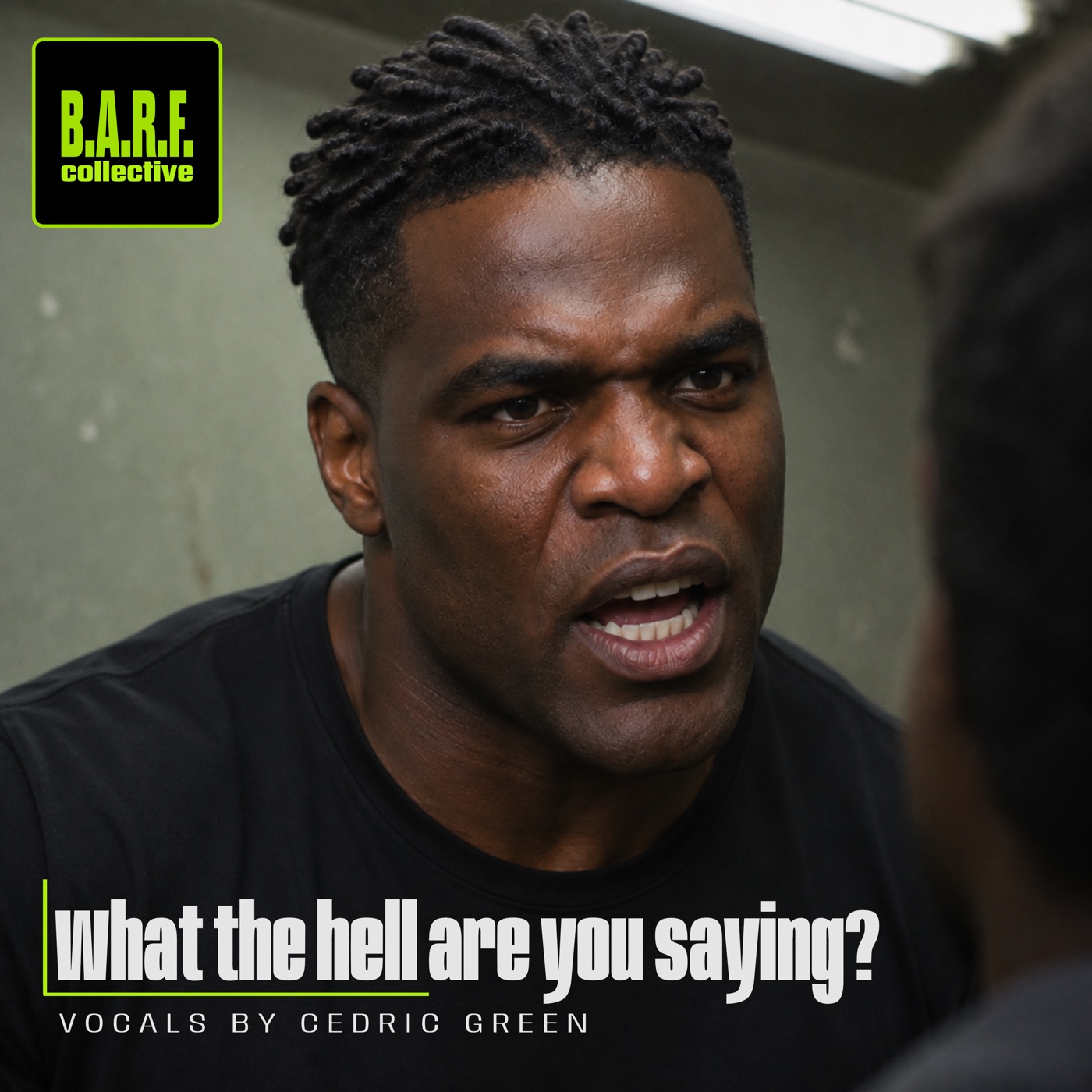Cover of What the Hell Are You Saying